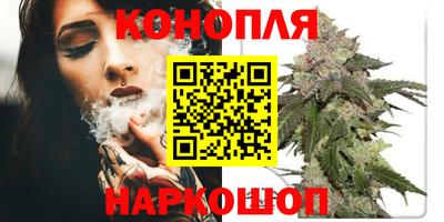 spice Волгодонск
