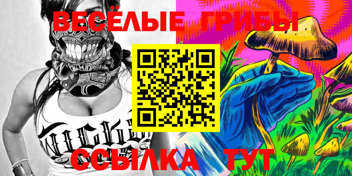 Галлюциногенные грибы Psilocybe Белорецк